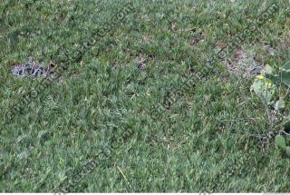 Photo of Mixed Nature Textures